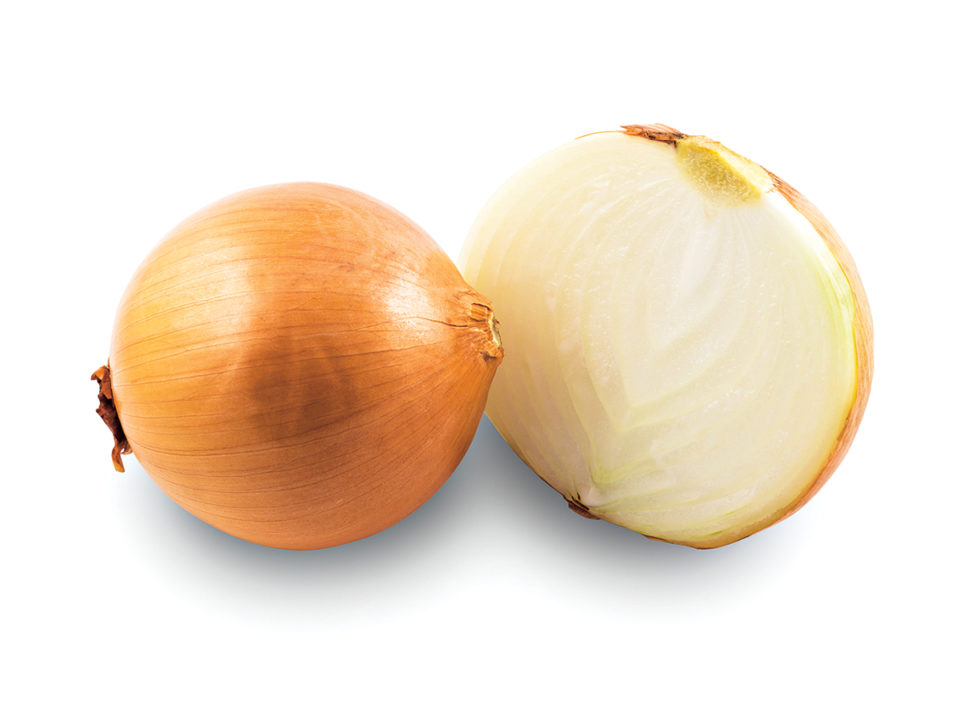 Close-Up Of Onion Against White Background - Nők Lapja hagyma-vagasa-trukk
