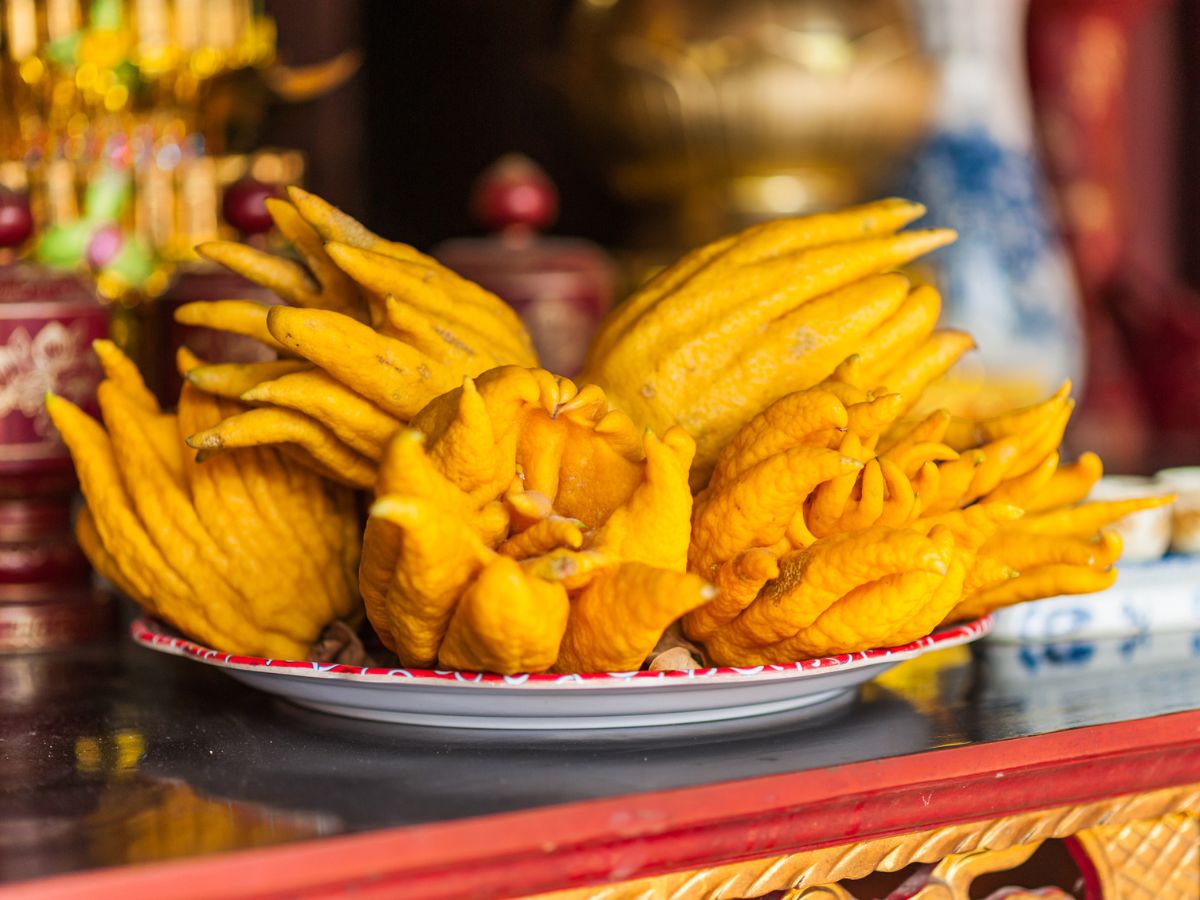 vilag-legfurcsabb-gyumolcsei - Nők Lapja - Nők Lapja Buddha keze