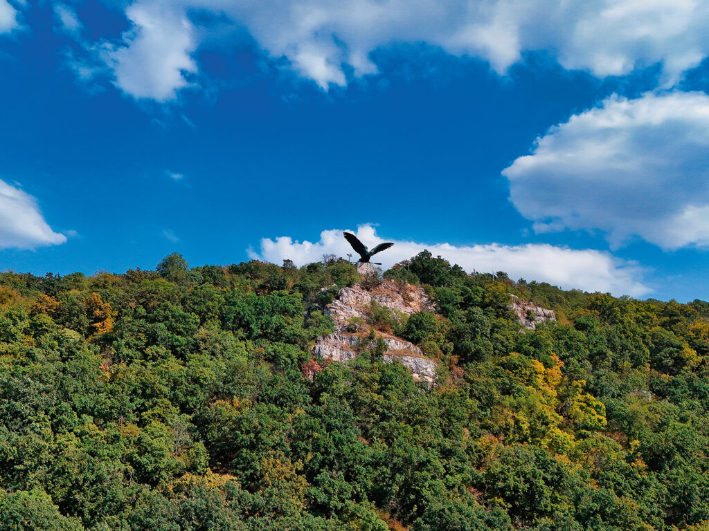 The Legendary Turul Bird in Tatabányas Hills Hungary - Nők Lapja